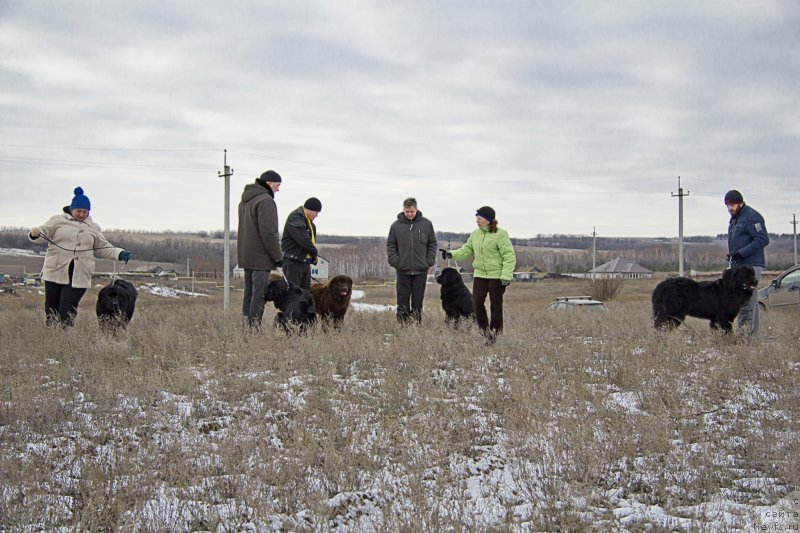 Фотография № 143704