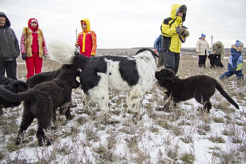 Фотография № 143705