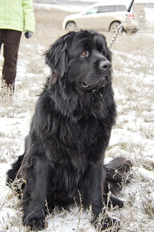 Фотография № 143707