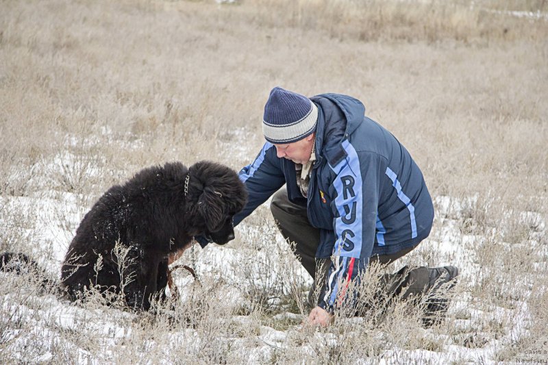 Фотография № 143708