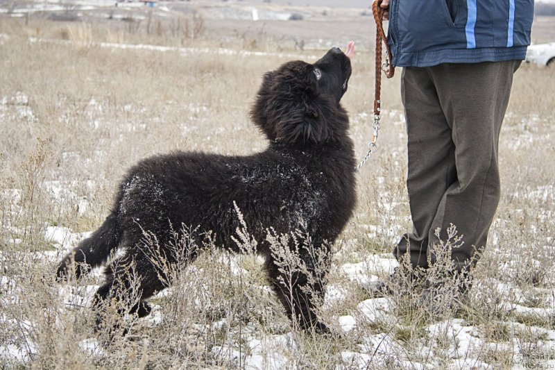 Фотография № 143710