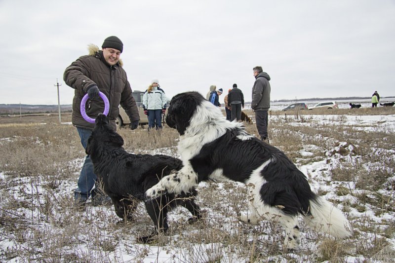 Фотография № 143711