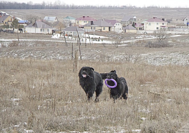 Фотография № 143712