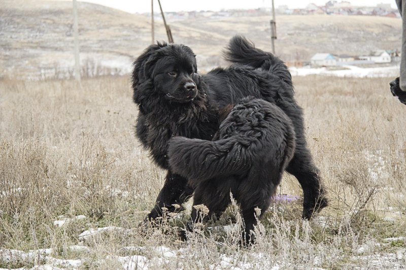 Фотография № 143714