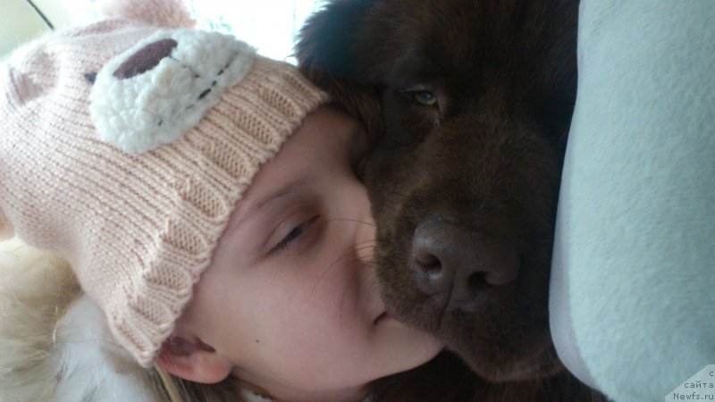 Фотография № 143745