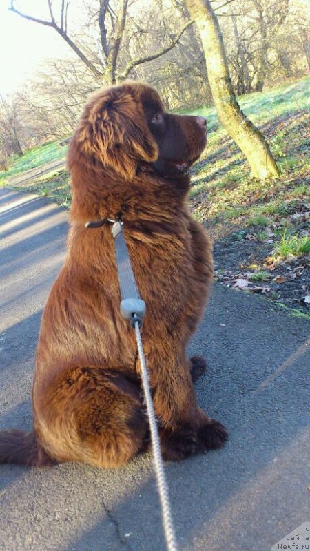 Фотография № 143746