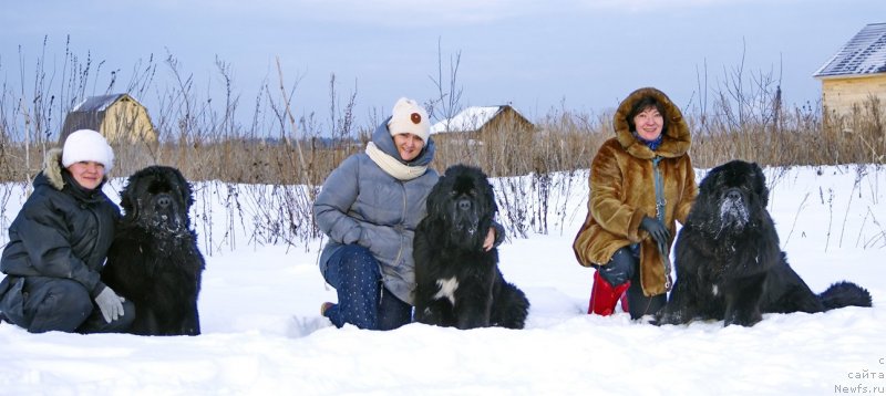 Фотография № 143829