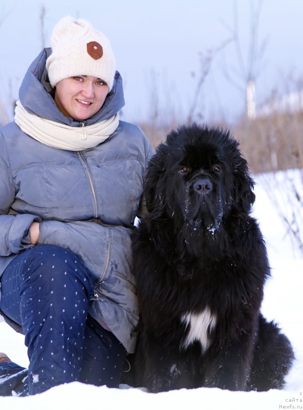 Фотография № 143830