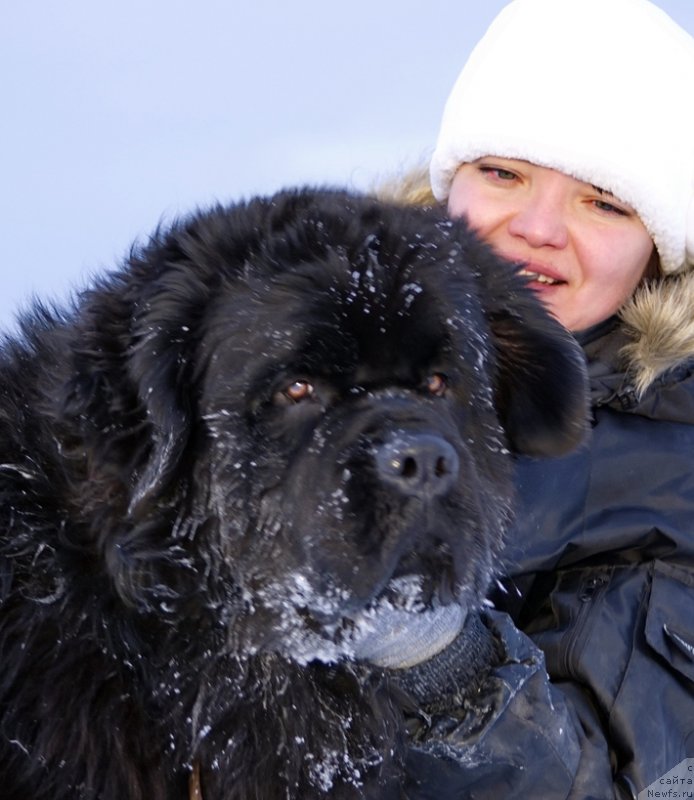 Фотография № 143831