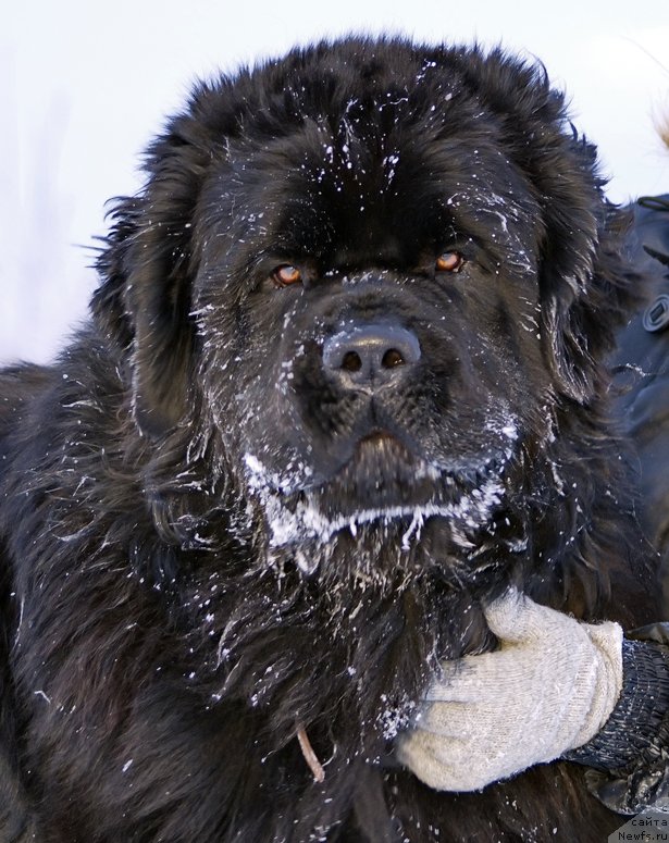 Фотография № 143832