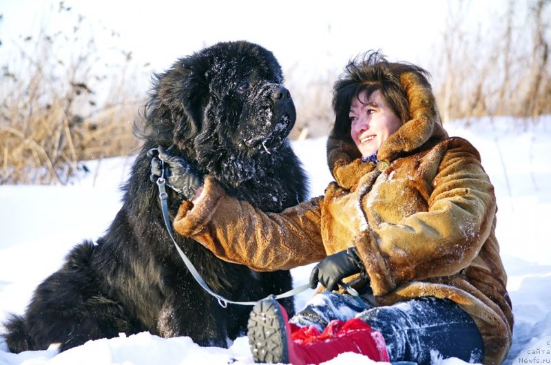 Фотография № 143833