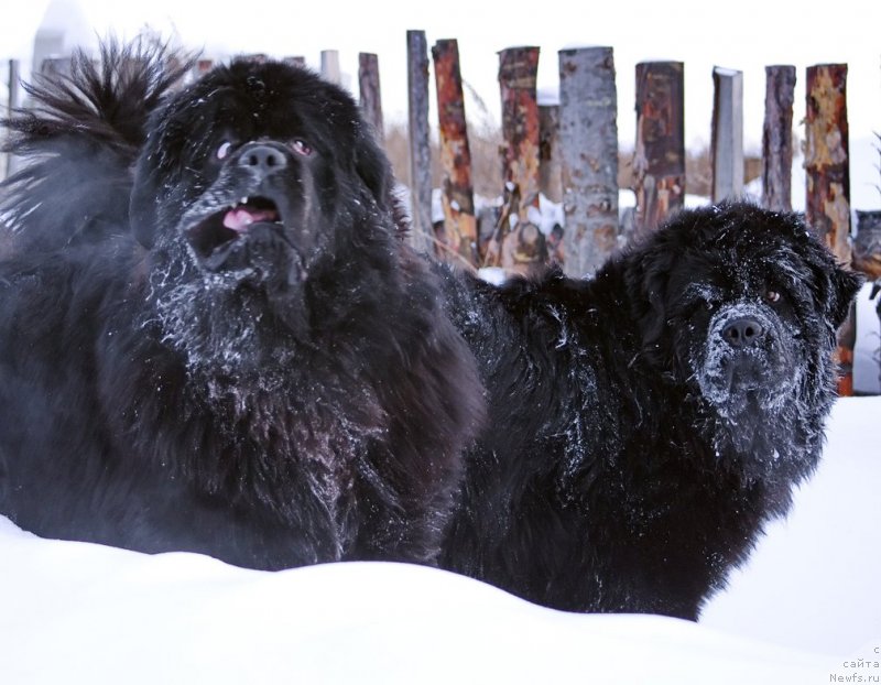 Фотография № 143835