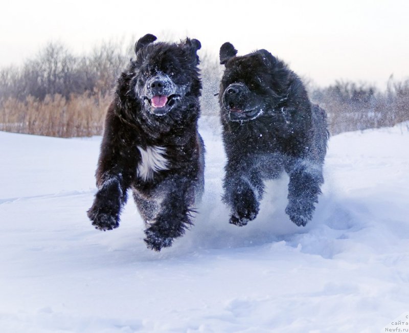 Фотография № 143836