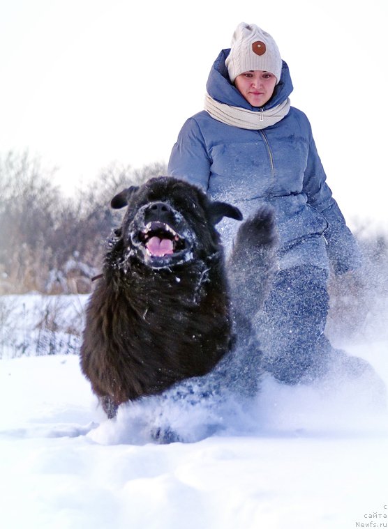 Фотография № 143837