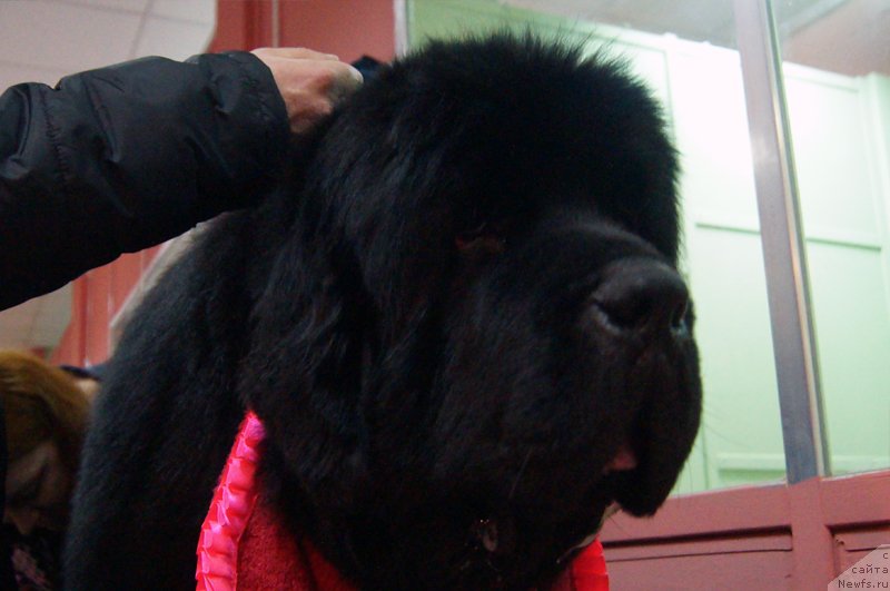 Фотография № 143858