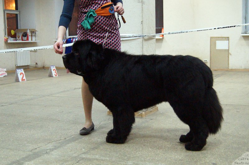 Фотография № 143859