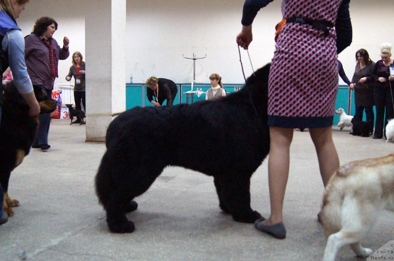 Фотография № 143860