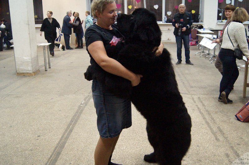 Фотография № 143862