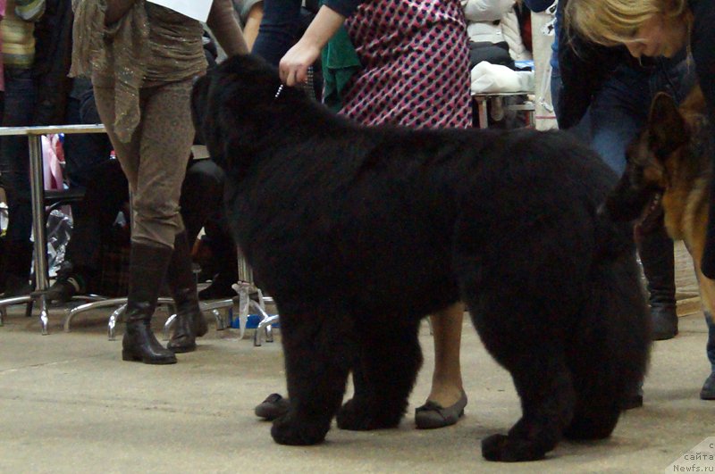 Фото: ньюфаундленд Thickish Newfoundland Waterfall Land's Only