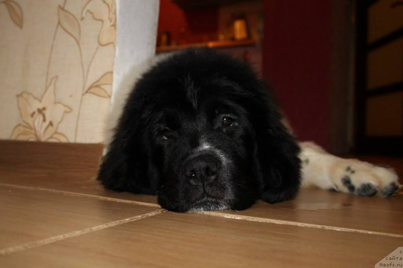 Фотография № 143864