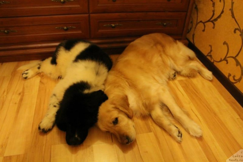 Фотография № 143866