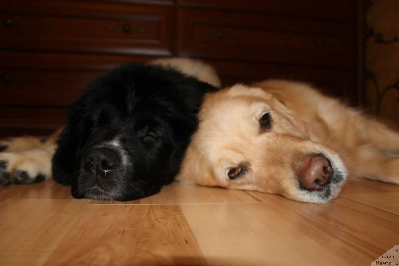 Фотография № 143867