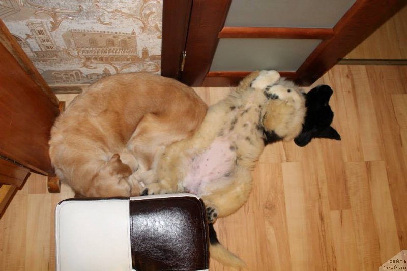 Фотография № 143868