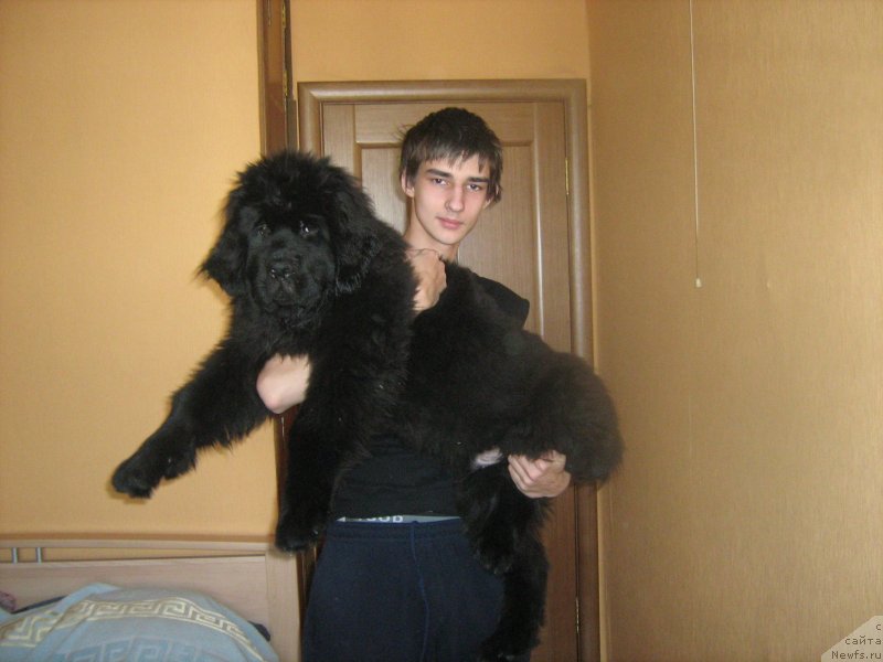 Фото: Илья Гальчик