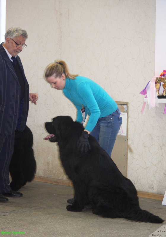 Фотография № 143898