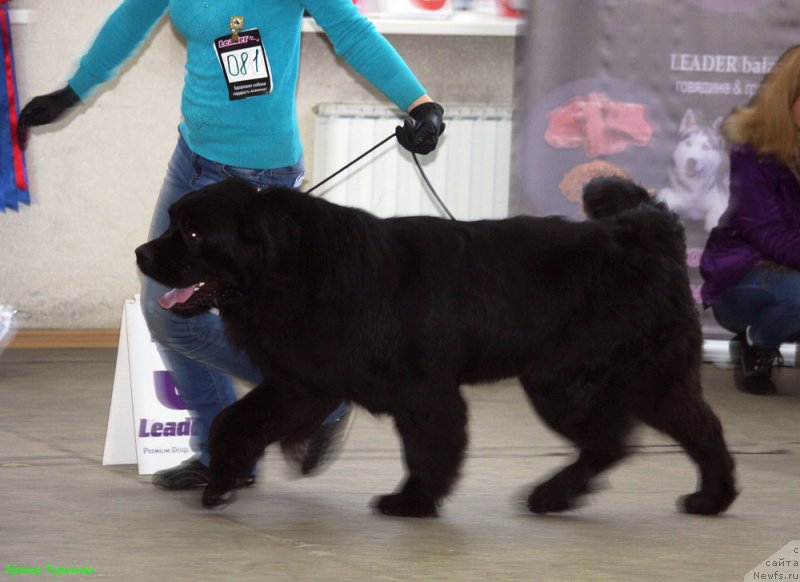 Фотография № 143899