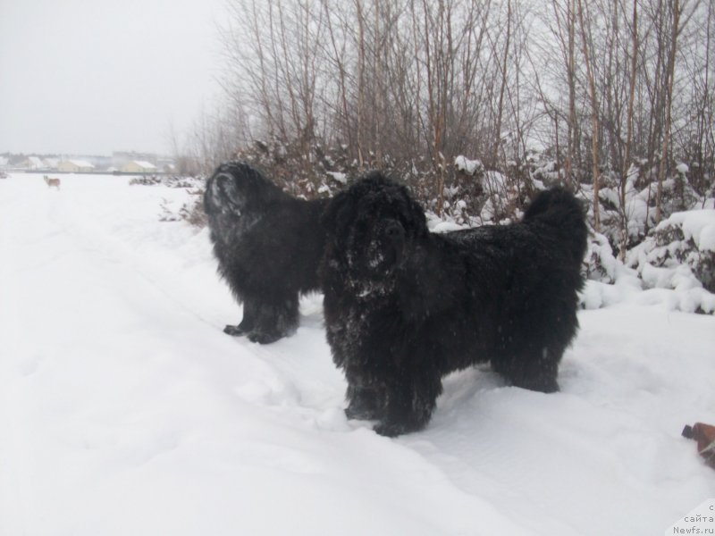 Фотография № 143922