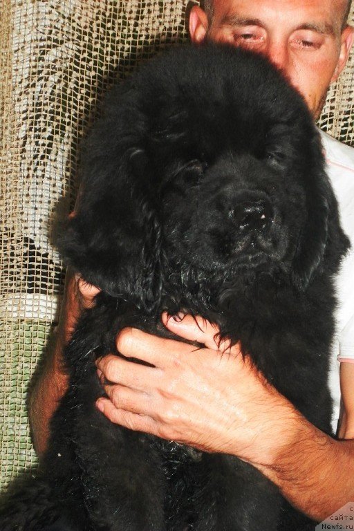 Фото: Владислав Марченко