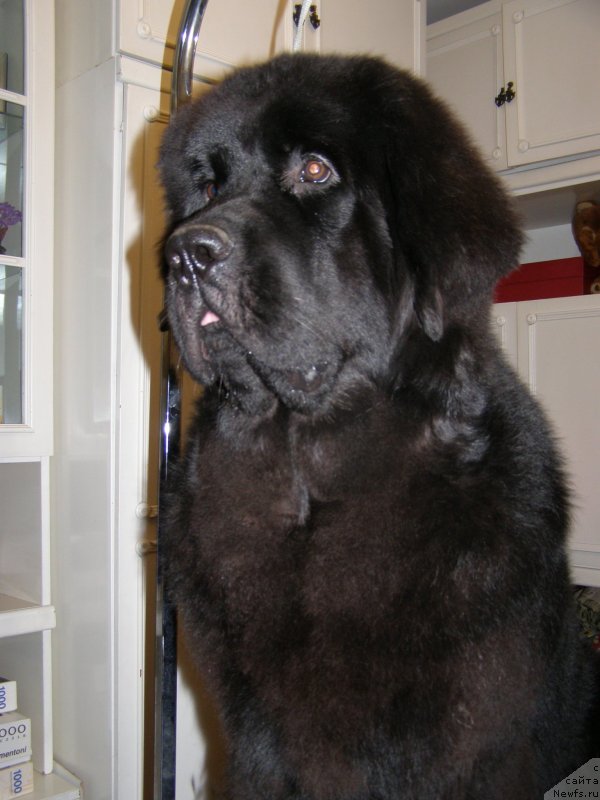 Фотография № 144024