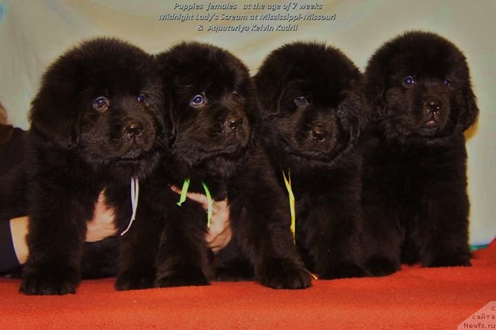 Фото: Дети Каси и Лукаса