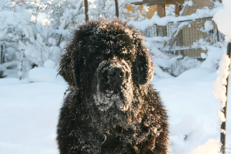 Фотография № 144051