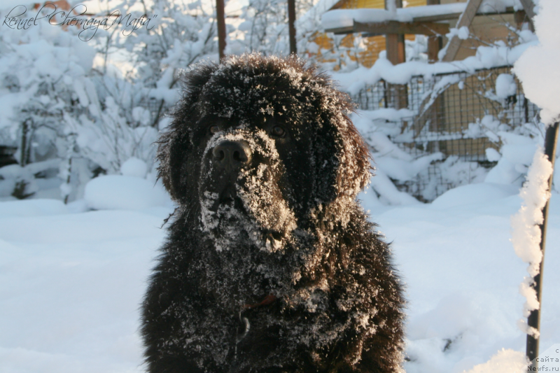 Фотография № 144052