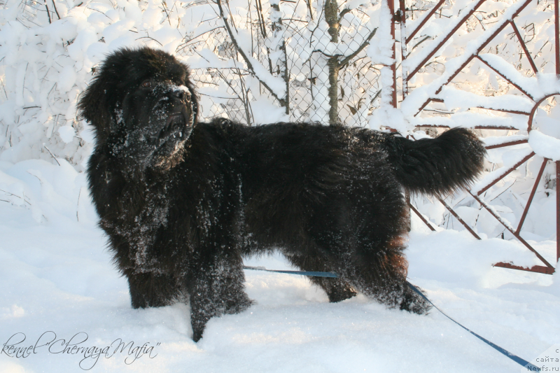 Фотография № 144054