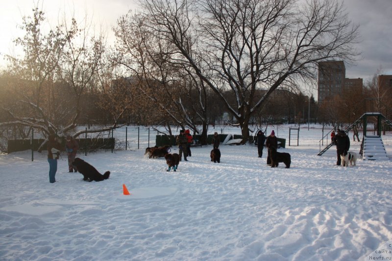 Фотография № 144099