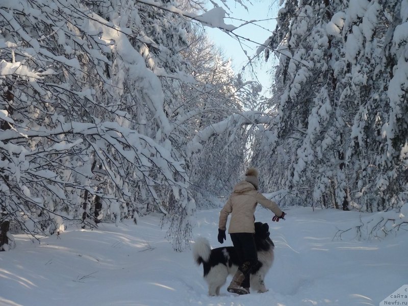 Фотография № 144110