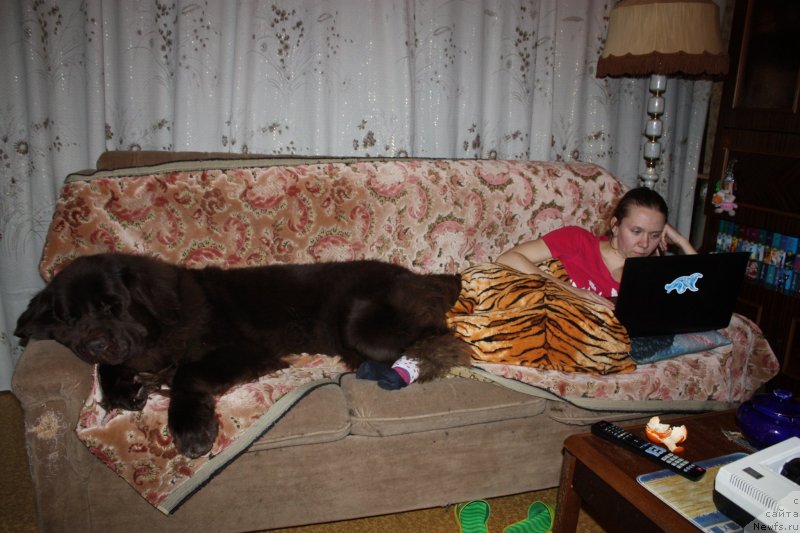 Фотография № 144111