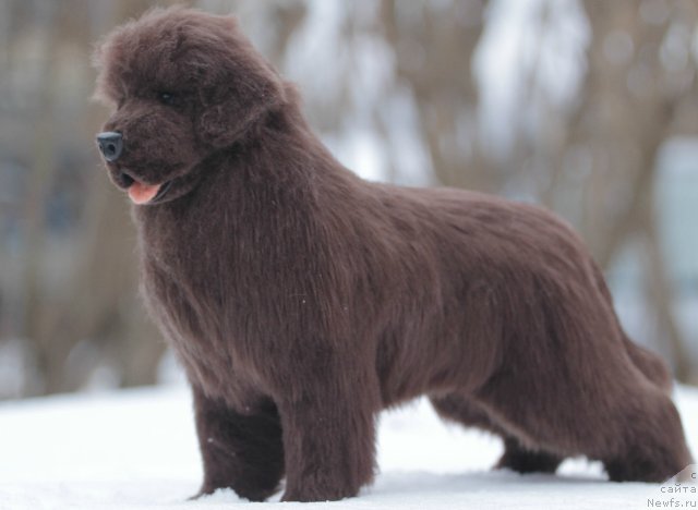 Фотография № 144112