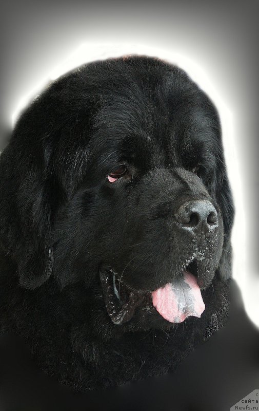 Фотография № 144114