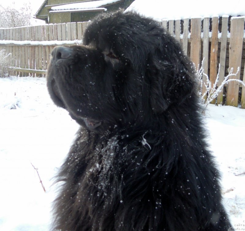 Фотография № 144118