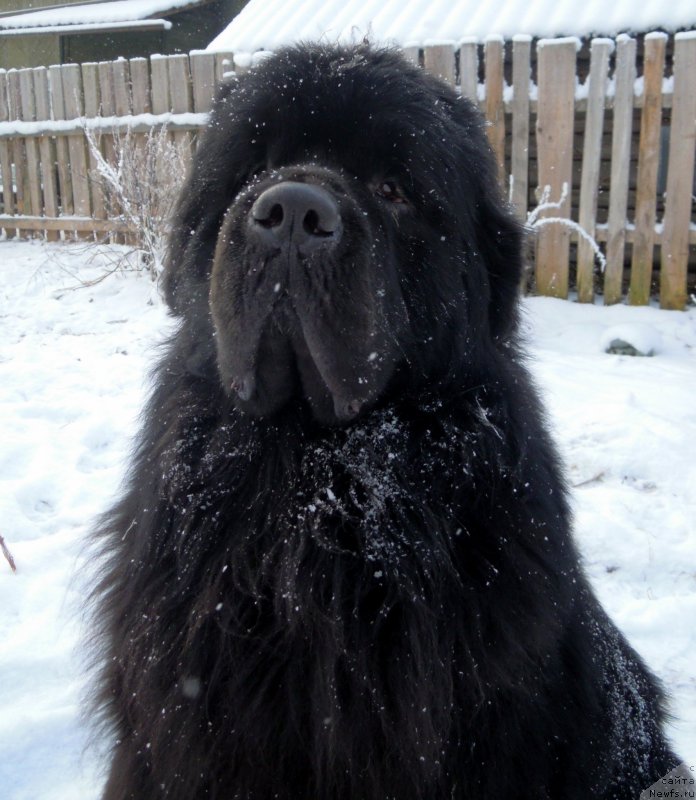 Фотография № 144174