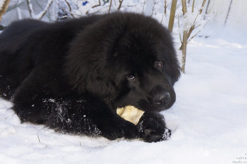 Фотография № 144186