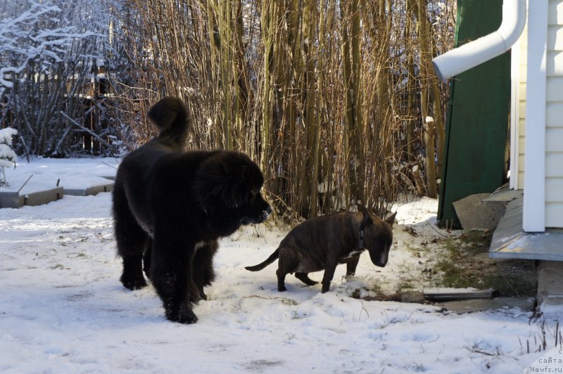 Фотография № 144187