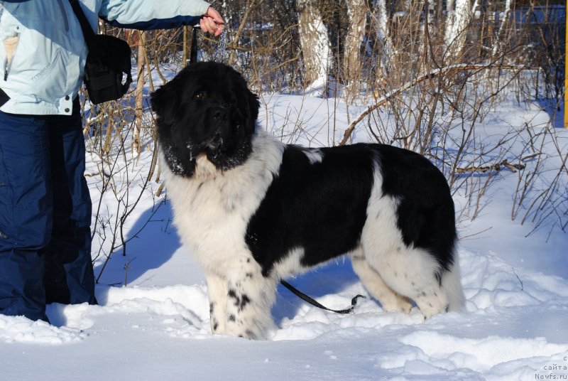 Фотография № 144228