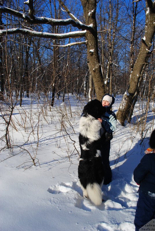 Фотография № 144232