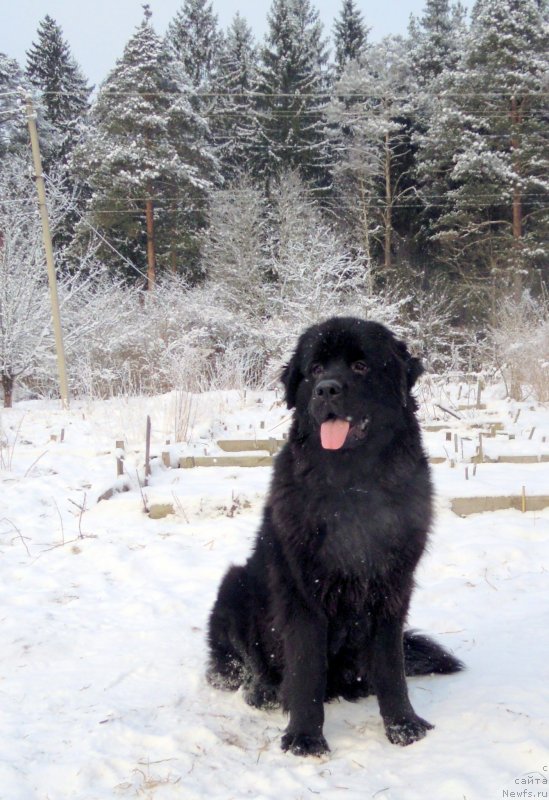 Фотография № 144244