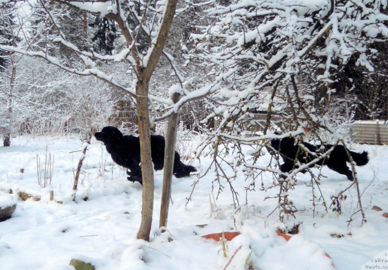 Фотография № 144246